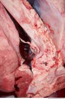 RAW meat pork viscera 0047